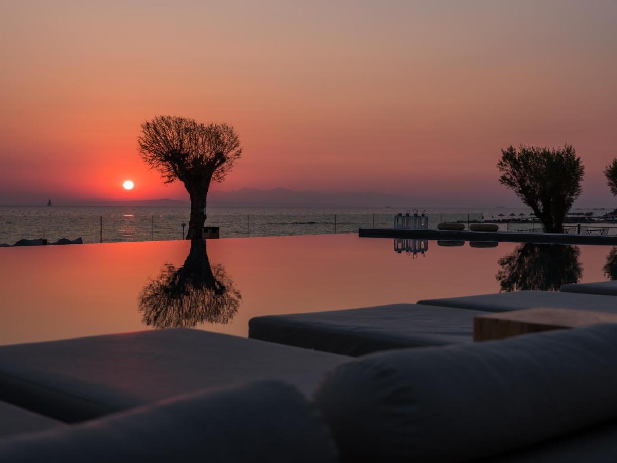 Caravel Suites - Adults Only Tsilivi  Exterior photo